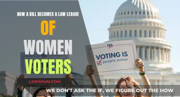 Women Voters: Understanding How a Bill Becomes Law