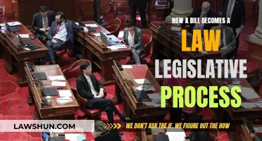 The Legislative Journey: Bill to Law