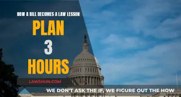 Understanding Lawmaking: A 3-Hour Lesson on Bills Becoming Laws