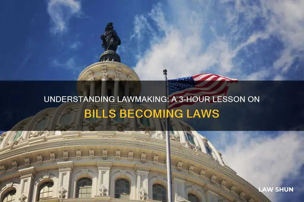 how a bill becomes a law lesson plan 3 hours