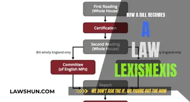 The Legislative Process: How Bills Become Laws