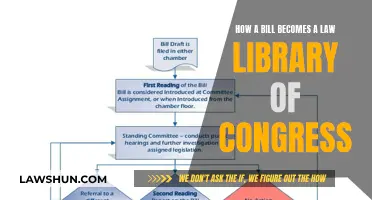 The Lawmaking Process: From Bill to Law