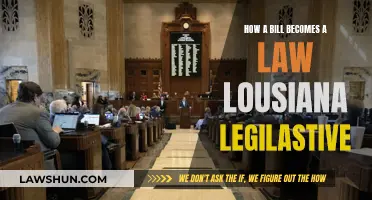 The Journey of a Bill to a Law in Louisiana