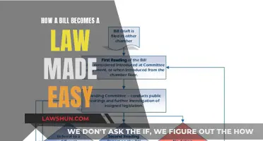 Understanding the Lawmaking Process: A Simple Guide