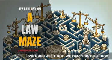 The Legislative Labyrinth: How a Bill Becomes Law