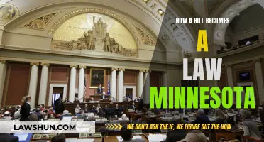 Bill to Law: Minnesota's Legislative Process Explained