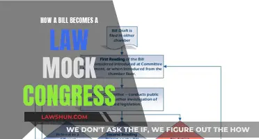 Mock Congress: Understanding Lawmaking