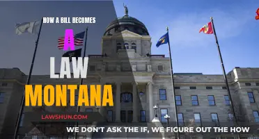 Montana's Lawmaking Process: From Bill to Law