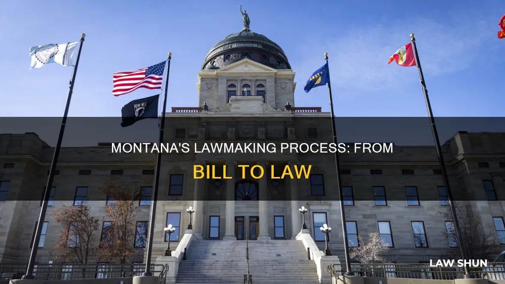 how a bill becomes a law montana