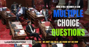 Understanding Lawmaking: Bill-to-Law Multiple Choice Quiz