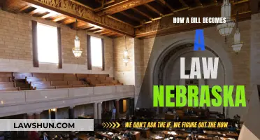 Nebraska's Law-Making Process: Understanding the Legislative Journey