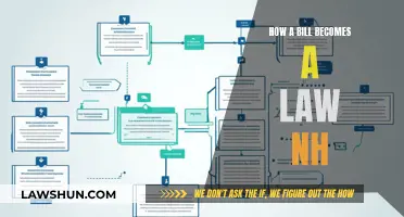 The Journey of a Bill to a Law in NH