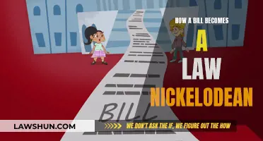 Nickelodeon's Guide to Understanding How Bills Become Laws