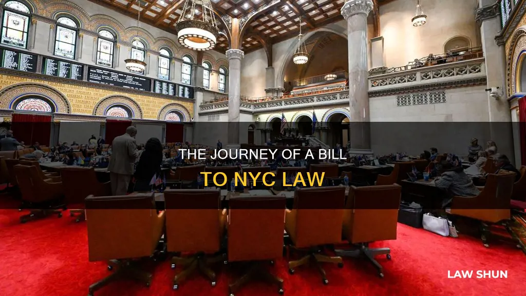 how a bill becomes a law nyc