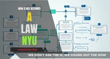 The Lawmaking Process: NYU's Guide to Bills Becoming Laws