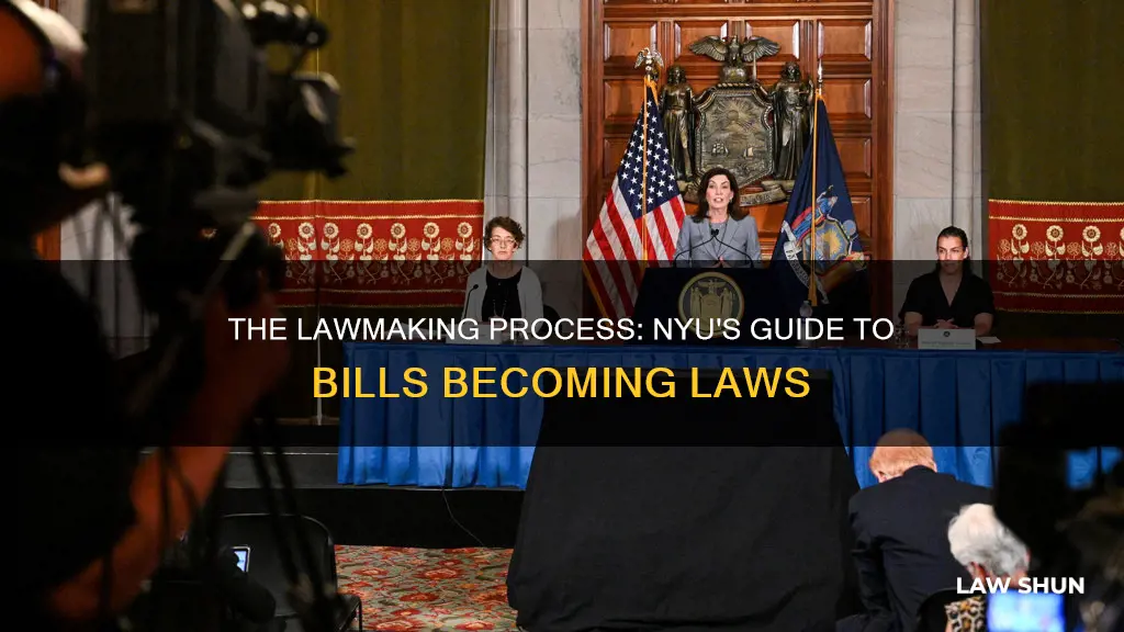 how a bill becomes a law nyu