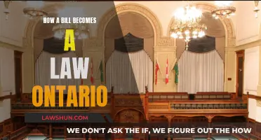 The Journey of a Bill to Law in Ontario