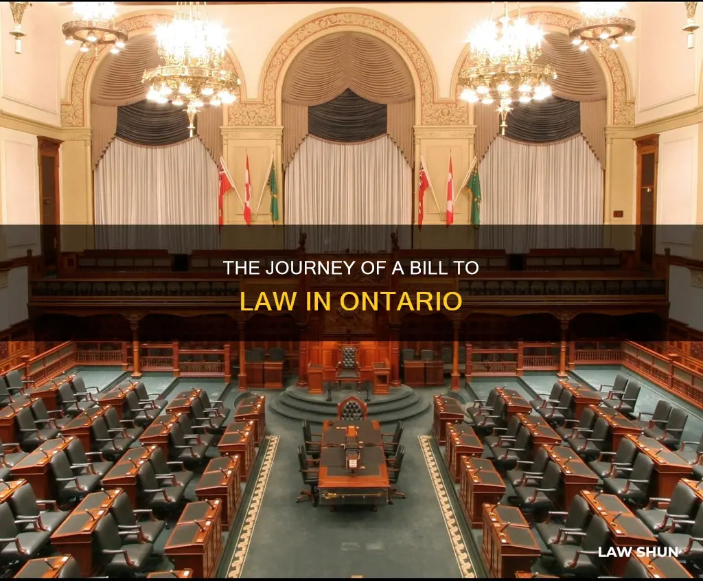 how a bill becomes a law ontario