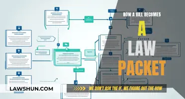 Understanding the Process: Bills to Laws