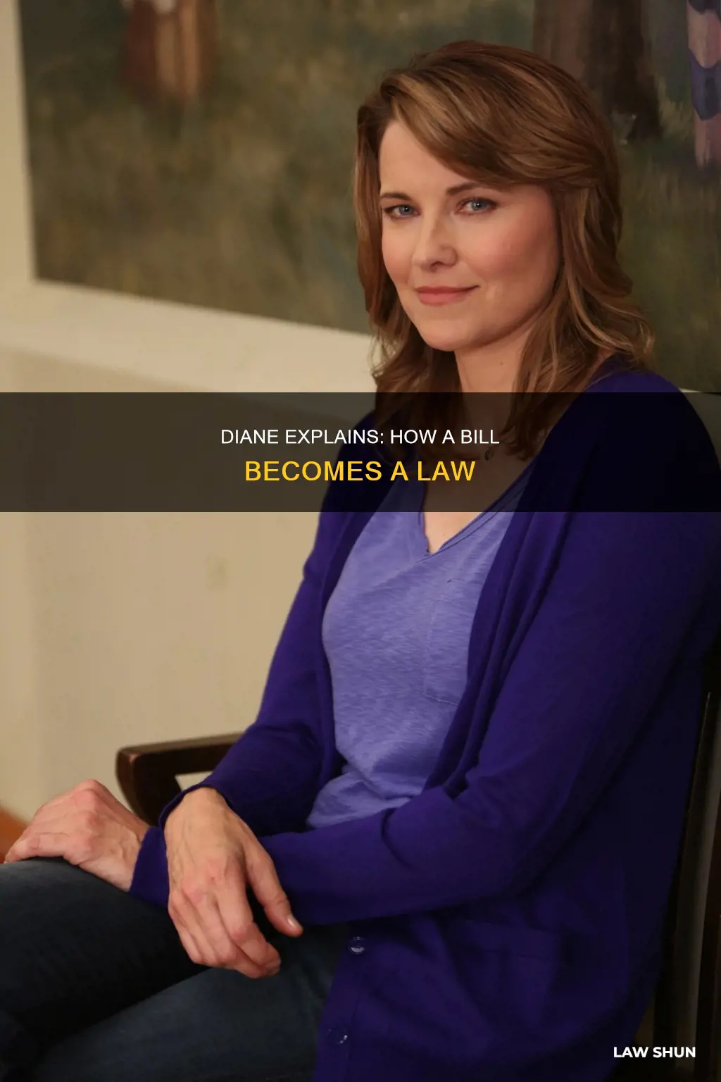 how a bill becomes a law parks and rec diane