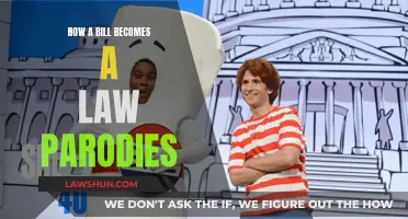 Understanding Lawmaking Through Creative Parodies