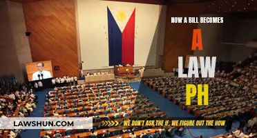 The Legislative Process: From Bill to Law in Philippines