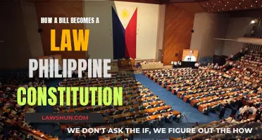 Philippine Constitution: Bills to Laws Explained