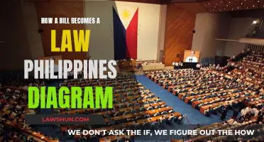 Understanding the Philippines' Legislative Process Visualized