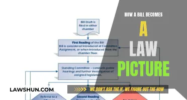 Visualizing Lawmaking: A Bill's Journey to Legislation