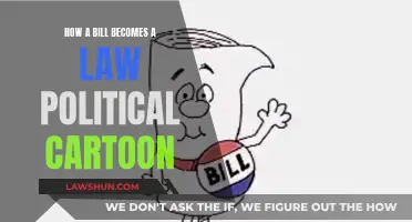 Understanding Lawmaking: Political Cartoon Breakdown