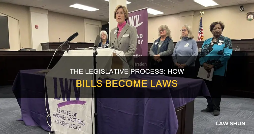 how a bill becomes a law political science