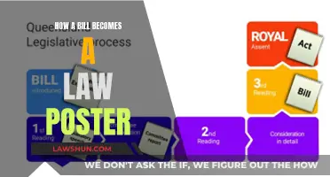 The Lawmaking Process: From Bill to Law