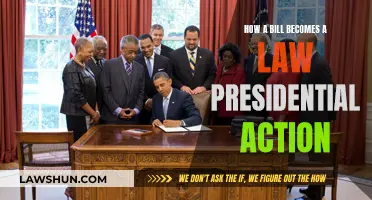 Bill to Law: Presidential Action Explained