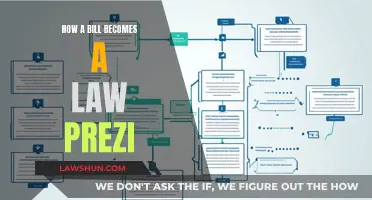 The Journey of a Bill to Law Explained