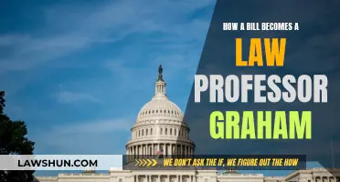 The Lawmaking Process: Professor Graham Explains