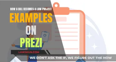 Understanding the Legislative Process with Prezi