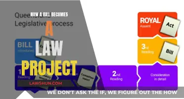 The Legislative Process: How a Bill Becomes a Law