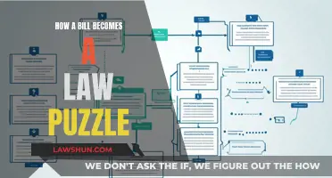 The Legislative Process: A Bill's Journey to Law