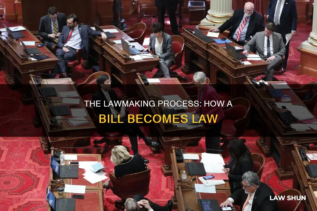 how a bill becomes a law questions