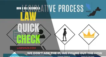 The Lawmaking Process: A Quick Guide to Bills Becoming Laws