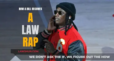 Rap Guide: Bill to Law