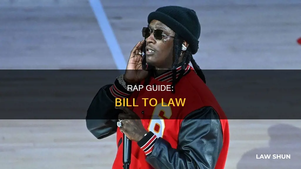 how a bill becomes a law rap