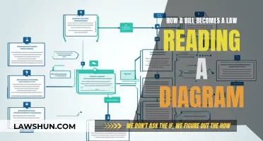 Understanding the Legislative Process Through Diagrammatic Representation