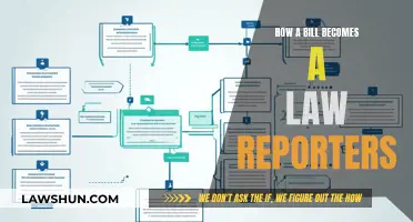 The Legislative Process: How Bills Become Laws for Reporters