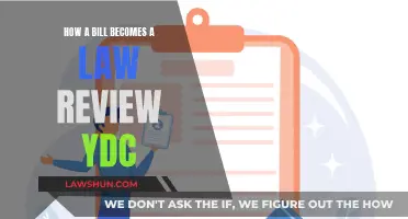 The Making of a Law: YDC Bill Review