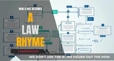 The Law-Making Process: A Rhyming Guide