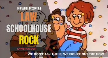 The Making of a Law: Schoolhouse Rock Explained