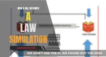 Understanding the Lawmaking Process: Bill to Law Simulation