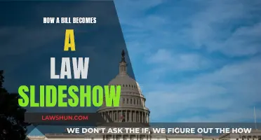 The Journey of a Bill to Law: A Slideshow