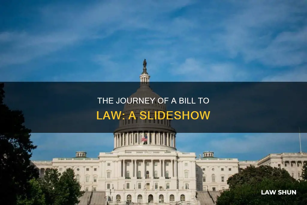 how a bill becomes a law slideshow